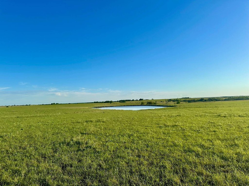 Picture 25