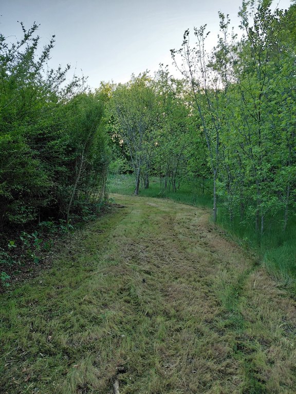 Picture 4