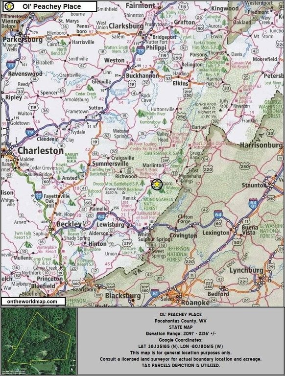 Picture 44