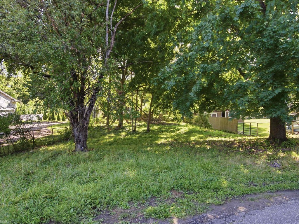 Picture 3