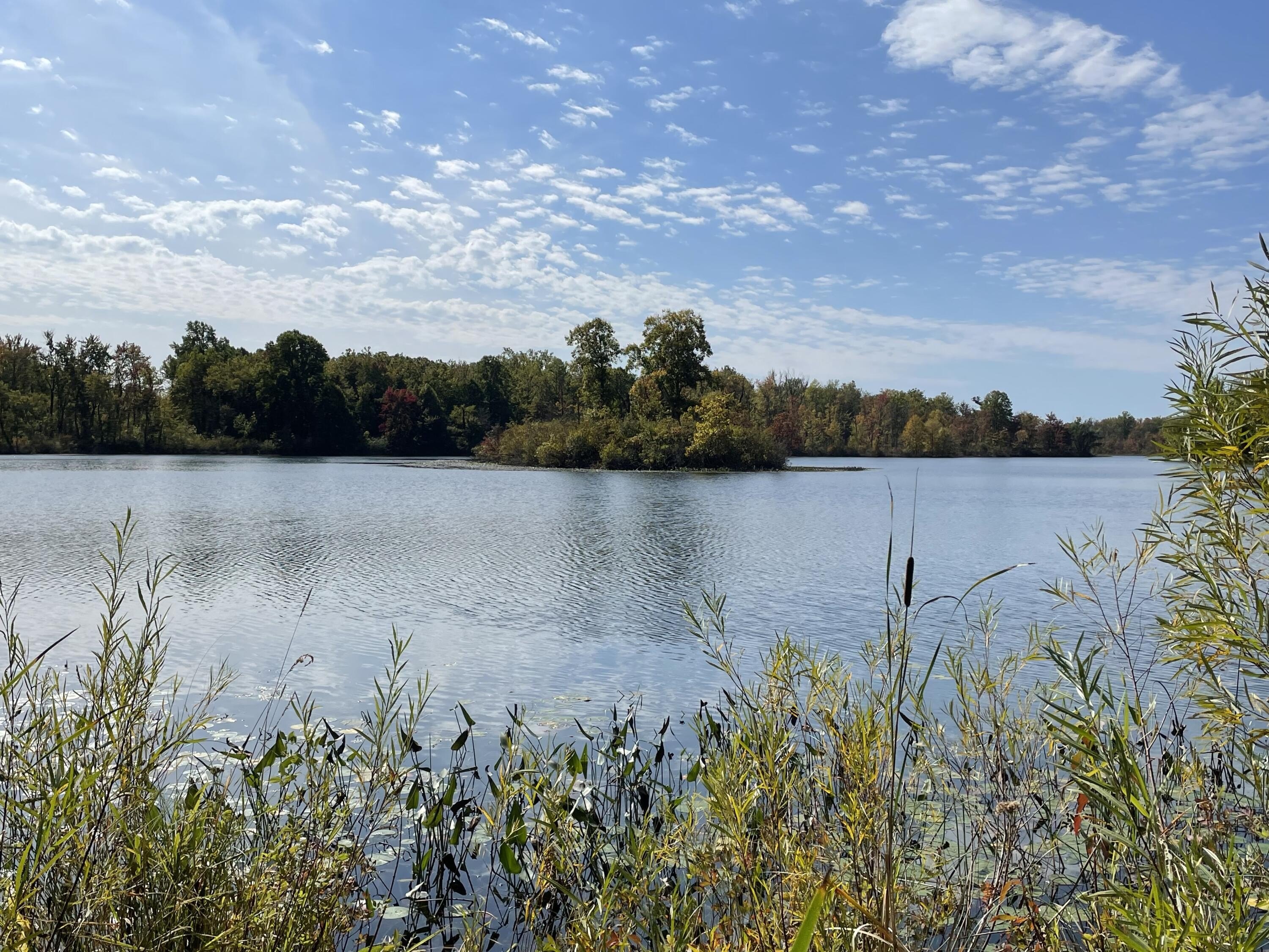 Lakefront Property in Grand Junction