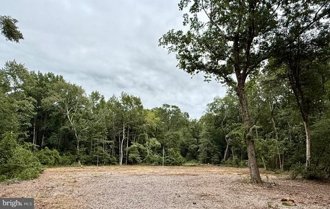 Wooded Homesite with Private Drive