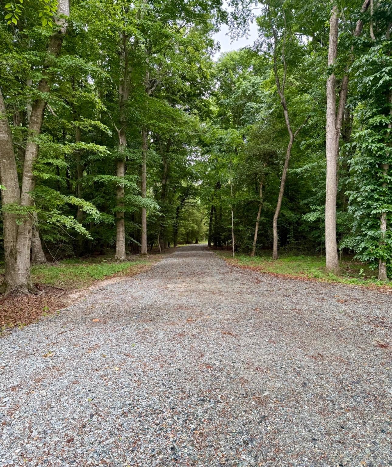 8.85 Acre Wooded Homesite