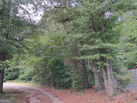 LAND - Ellenwood, GA