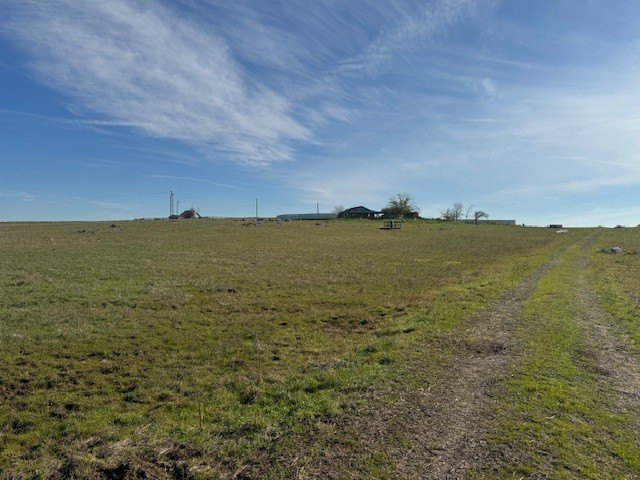 Raymond, CA - 40 Acre Farm