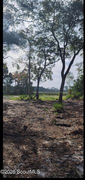 Residential Lot with Marsh Views