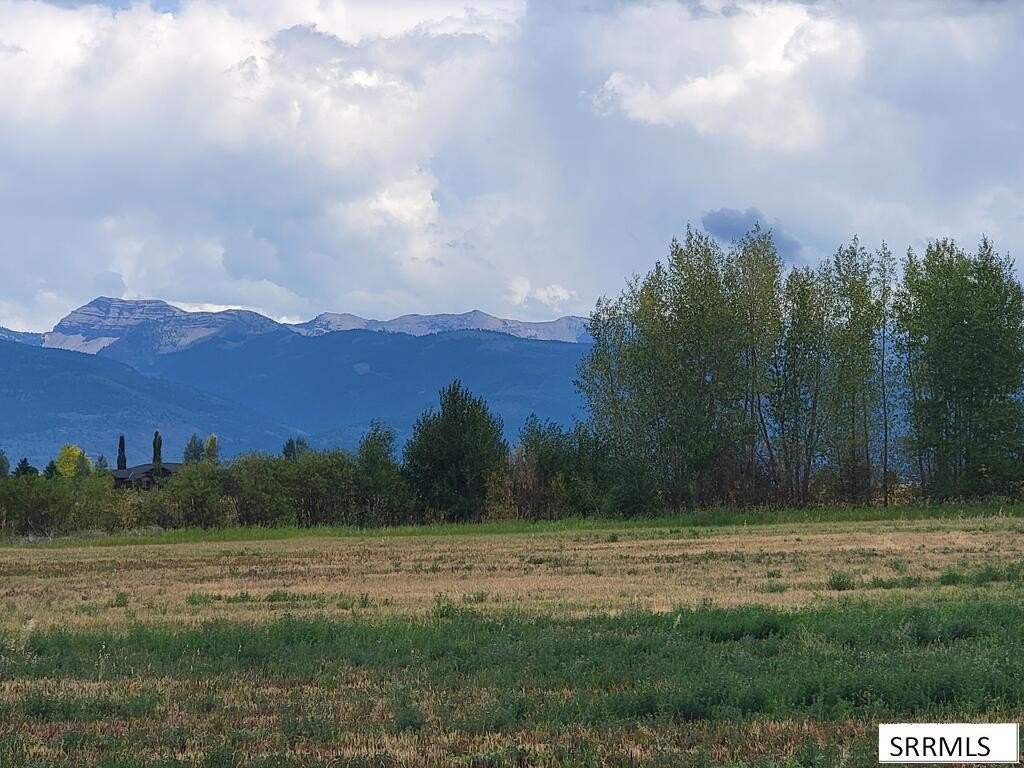 Picture 11
