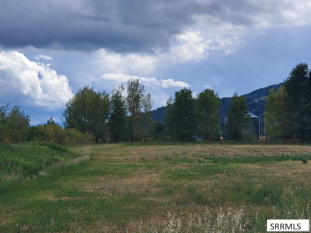 Picture 16
