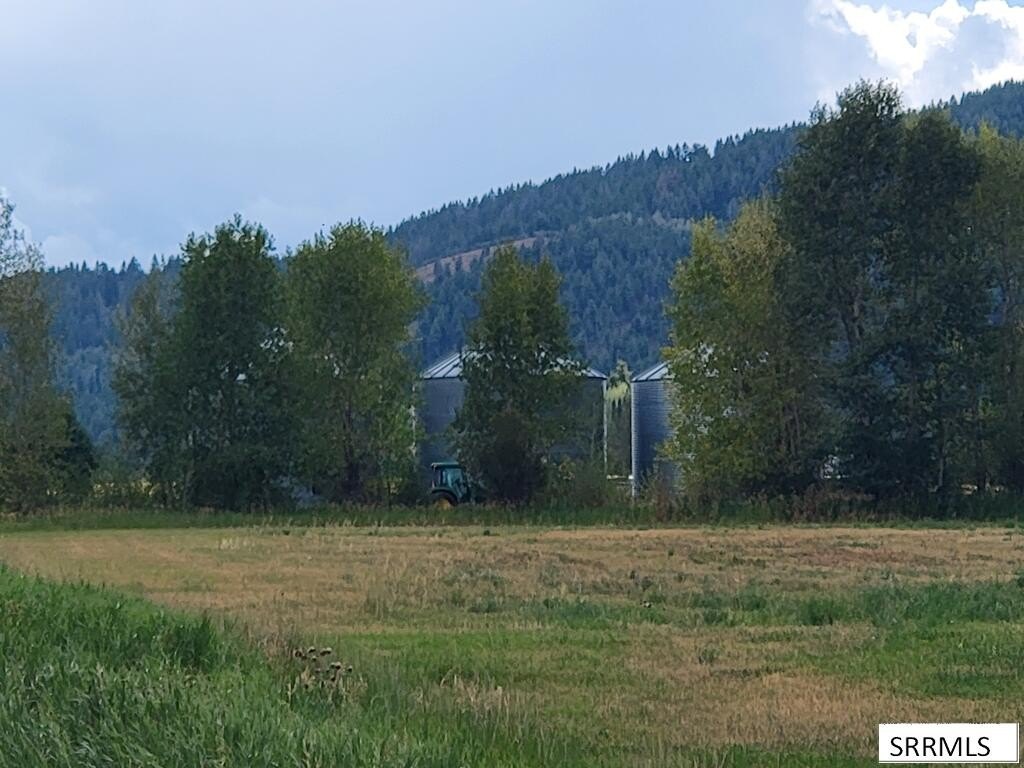 Picture 4