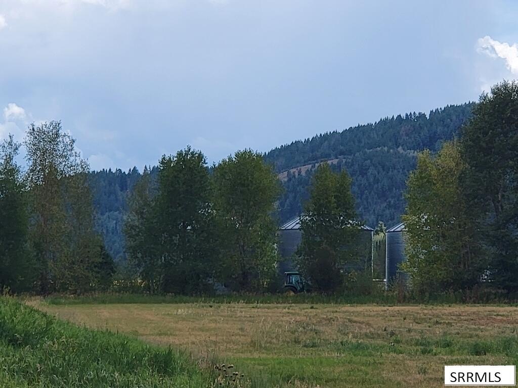 Picture 19