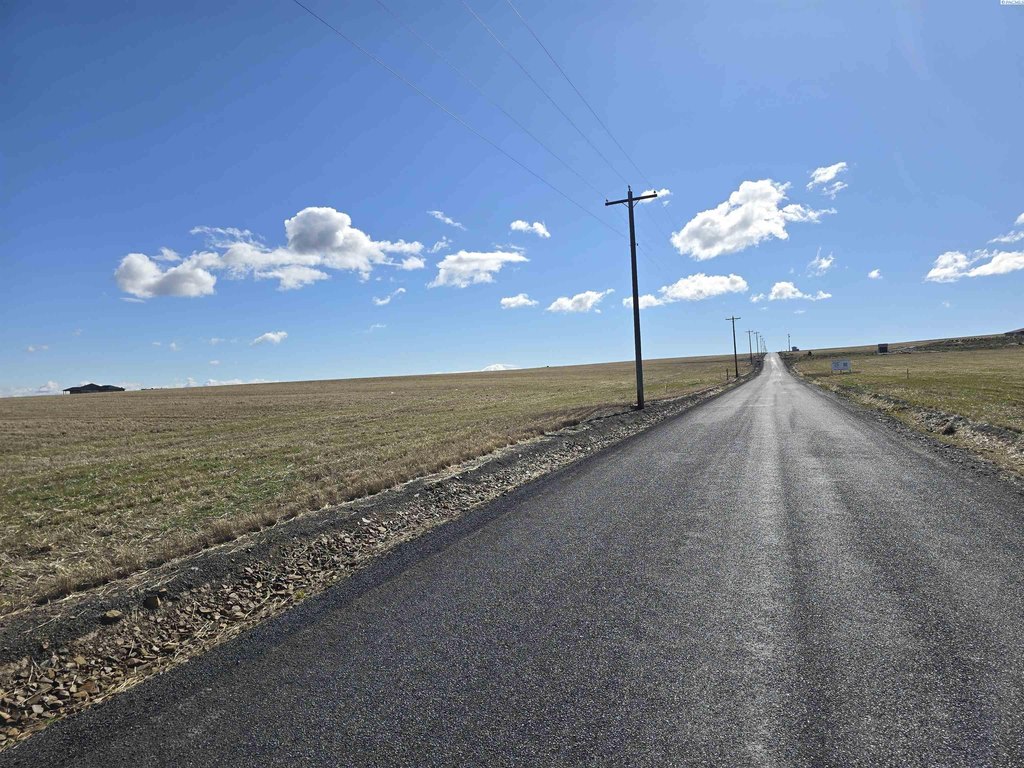 Picture 37