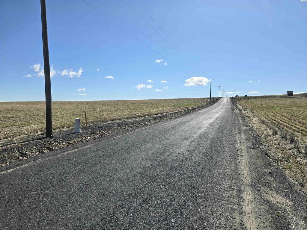 Picture 33