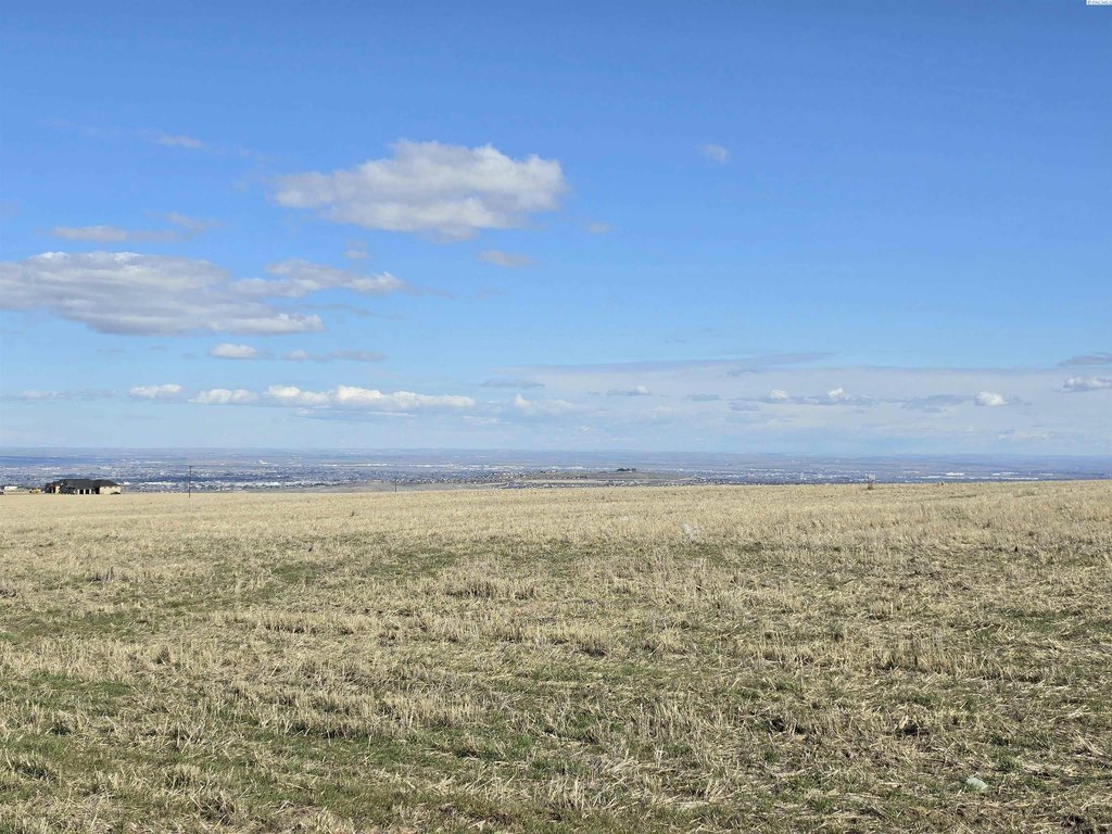 Picture 29