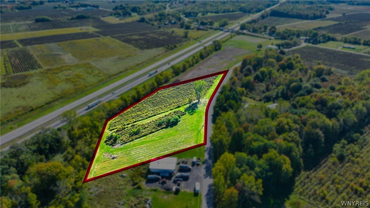 Vineyard Land in Silver Creek