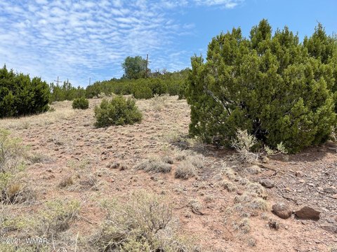 Eagar, AZ Hillside Lot