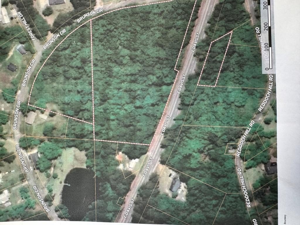 Picture 14
