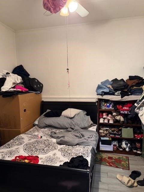 Picture 21