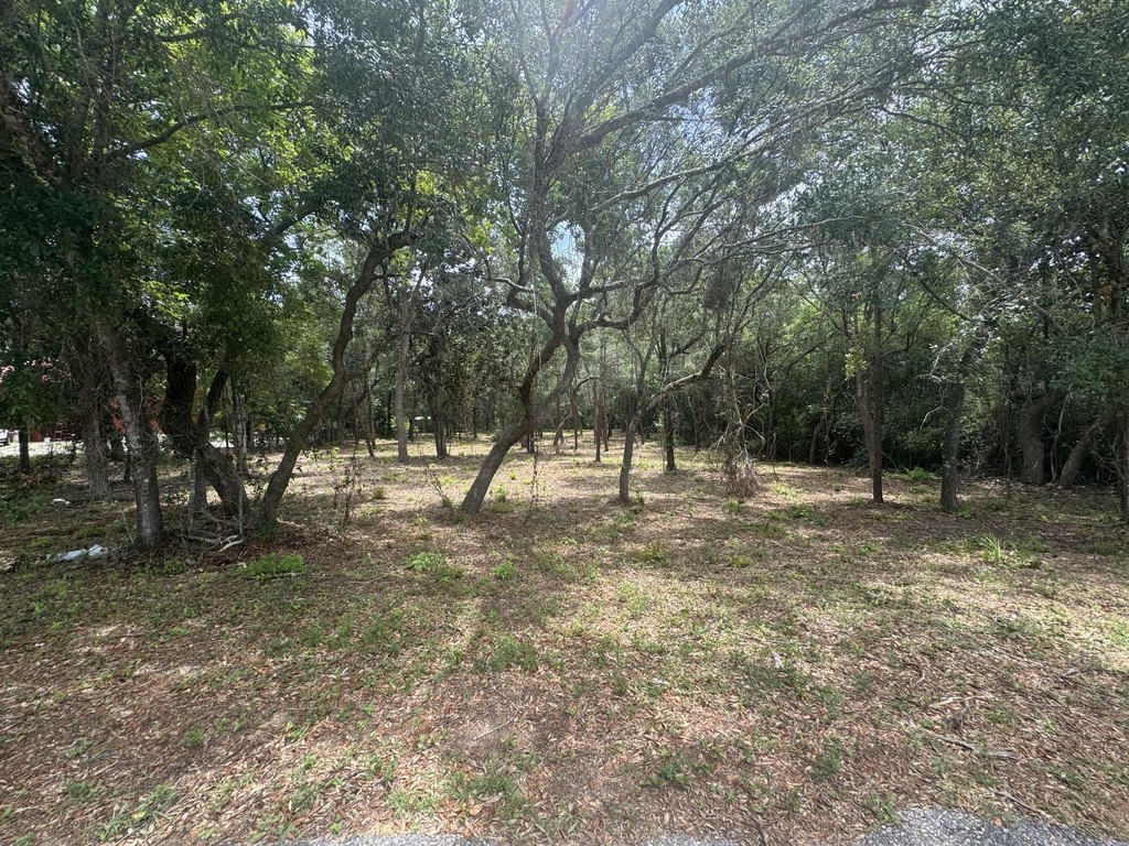 Picture 14