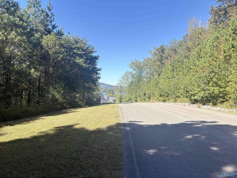 Scottsboro, AL Land For Sale