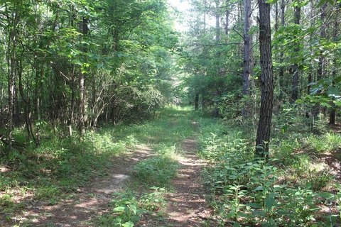Brookhaven Hunting and Recreational Land