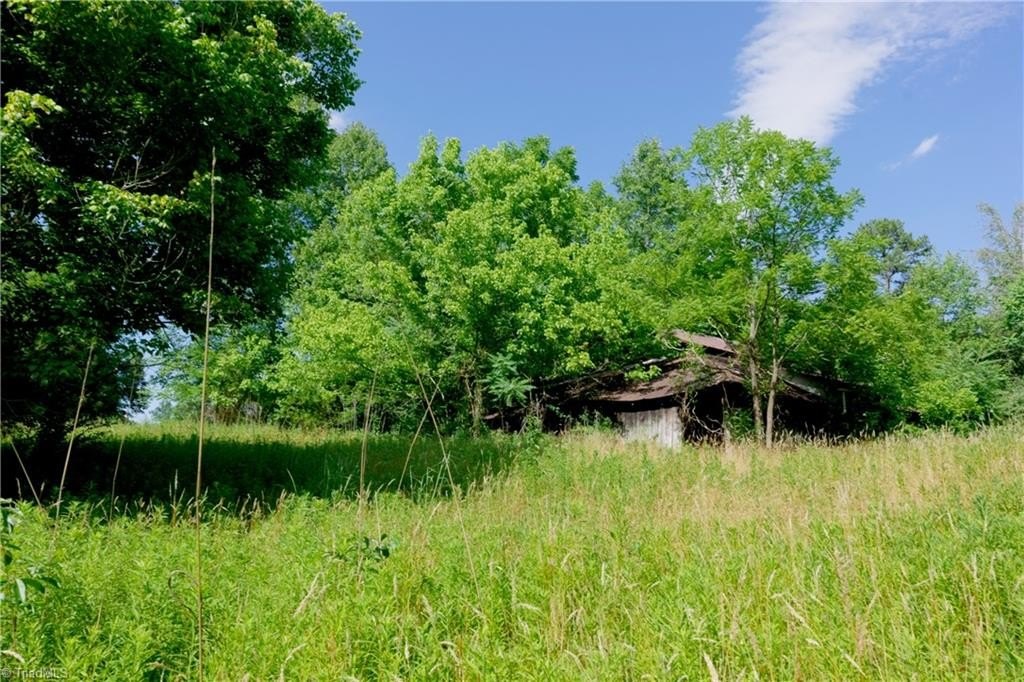Picture 11