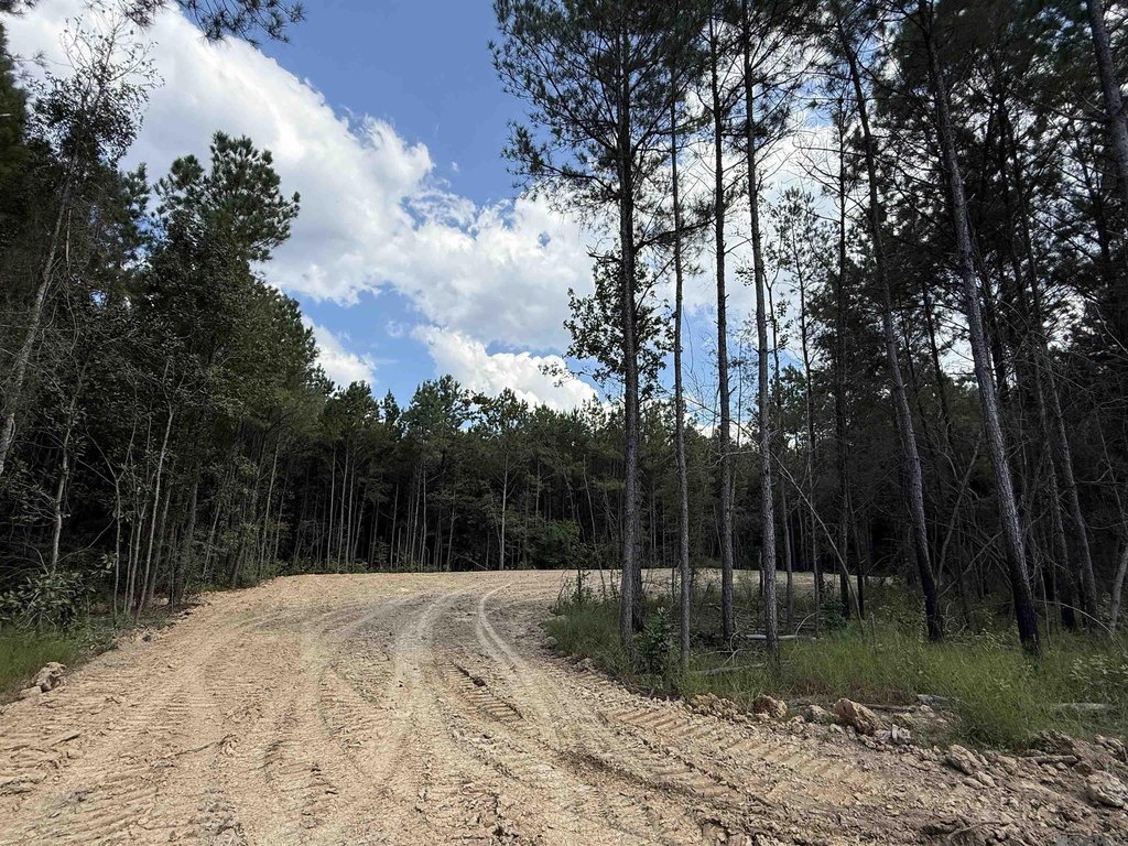 Picture 16