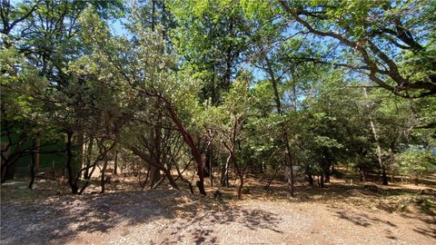 Loch Lomond Land For Sale