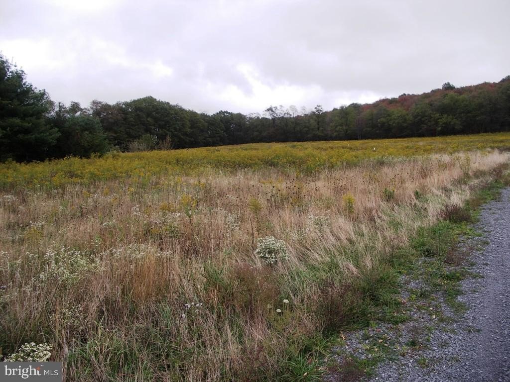 Oakland, MD Building Lot