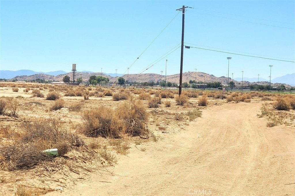 Picture 19
