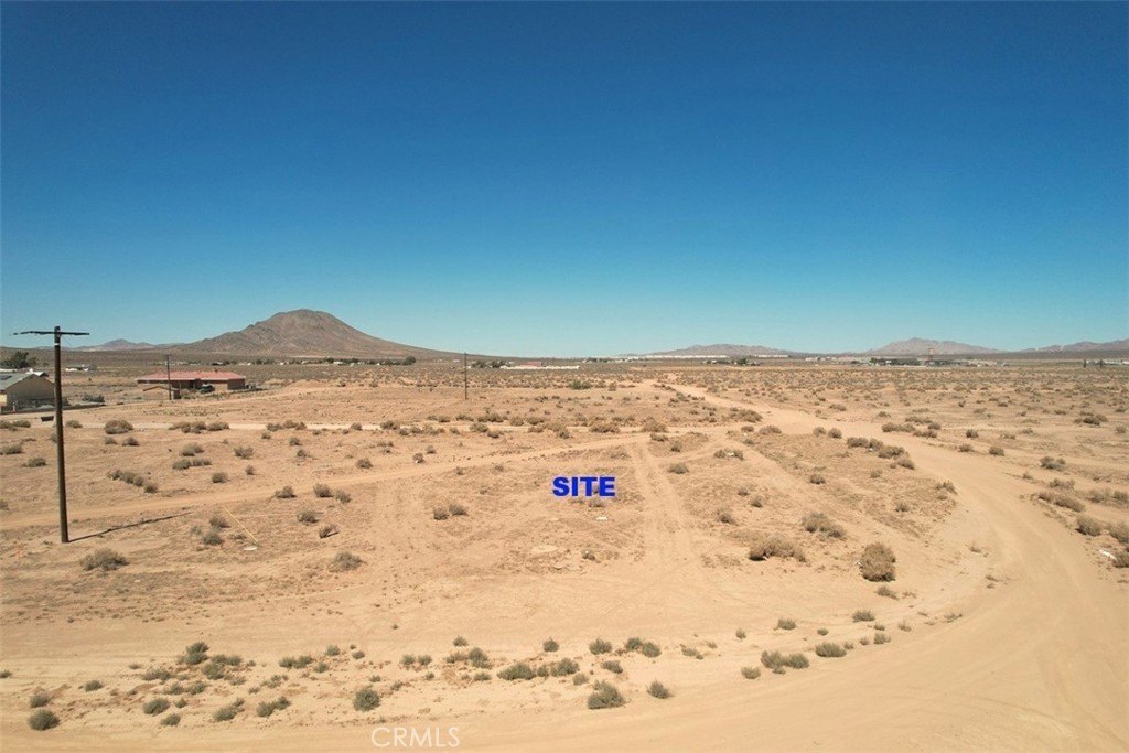 Picture 16