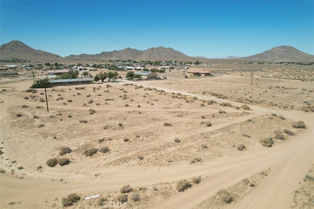 Picture 11