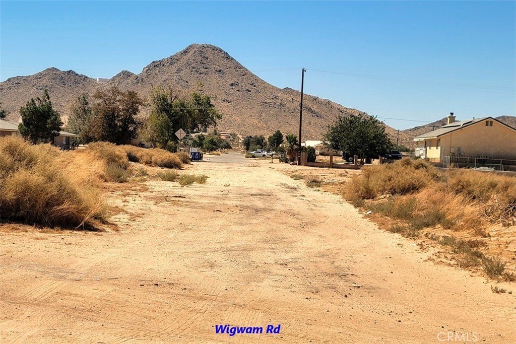 Picture 5