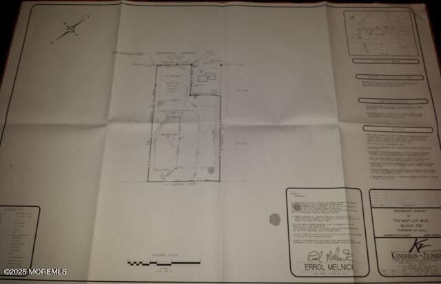 Picture 5
