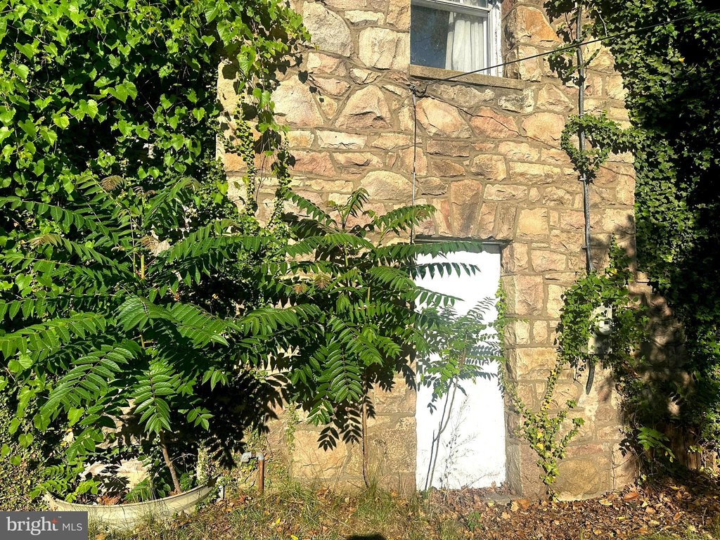 Picture 8