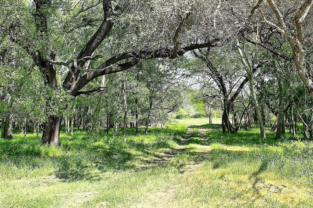 Scenic Unrestricted Land in Weimar