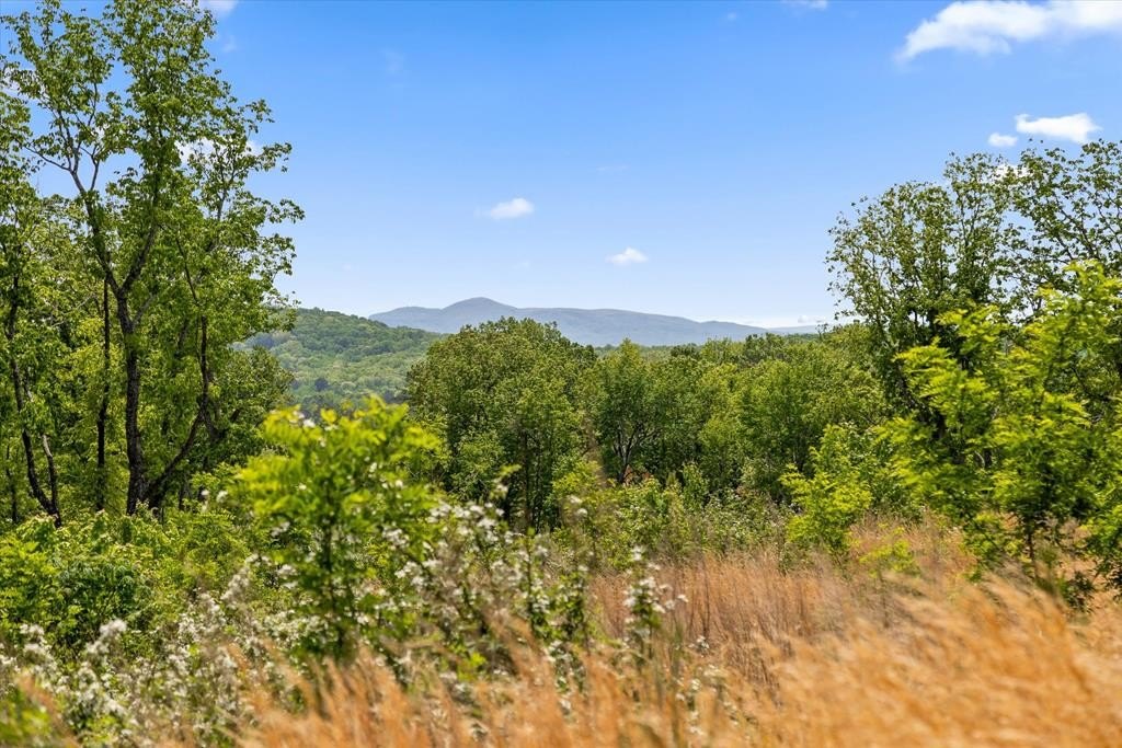 Talking Rock Homesite with Views