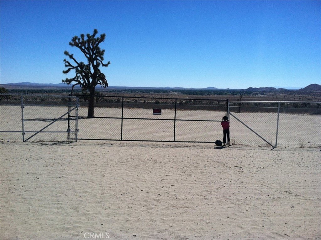 Picture 5