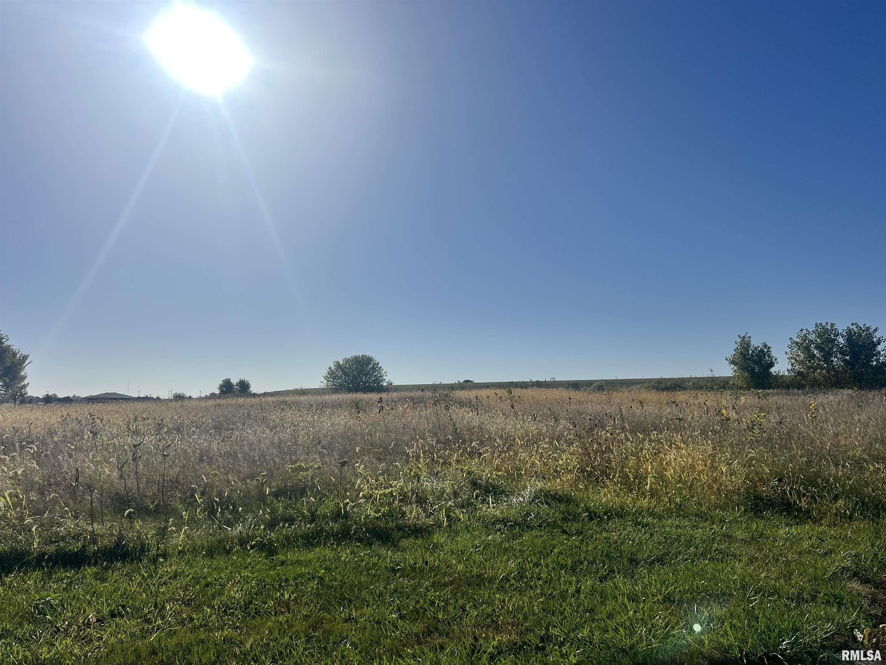 Residential Land in Metamora Fields