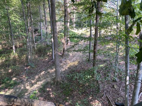 Recreation and Hunting Land Tract