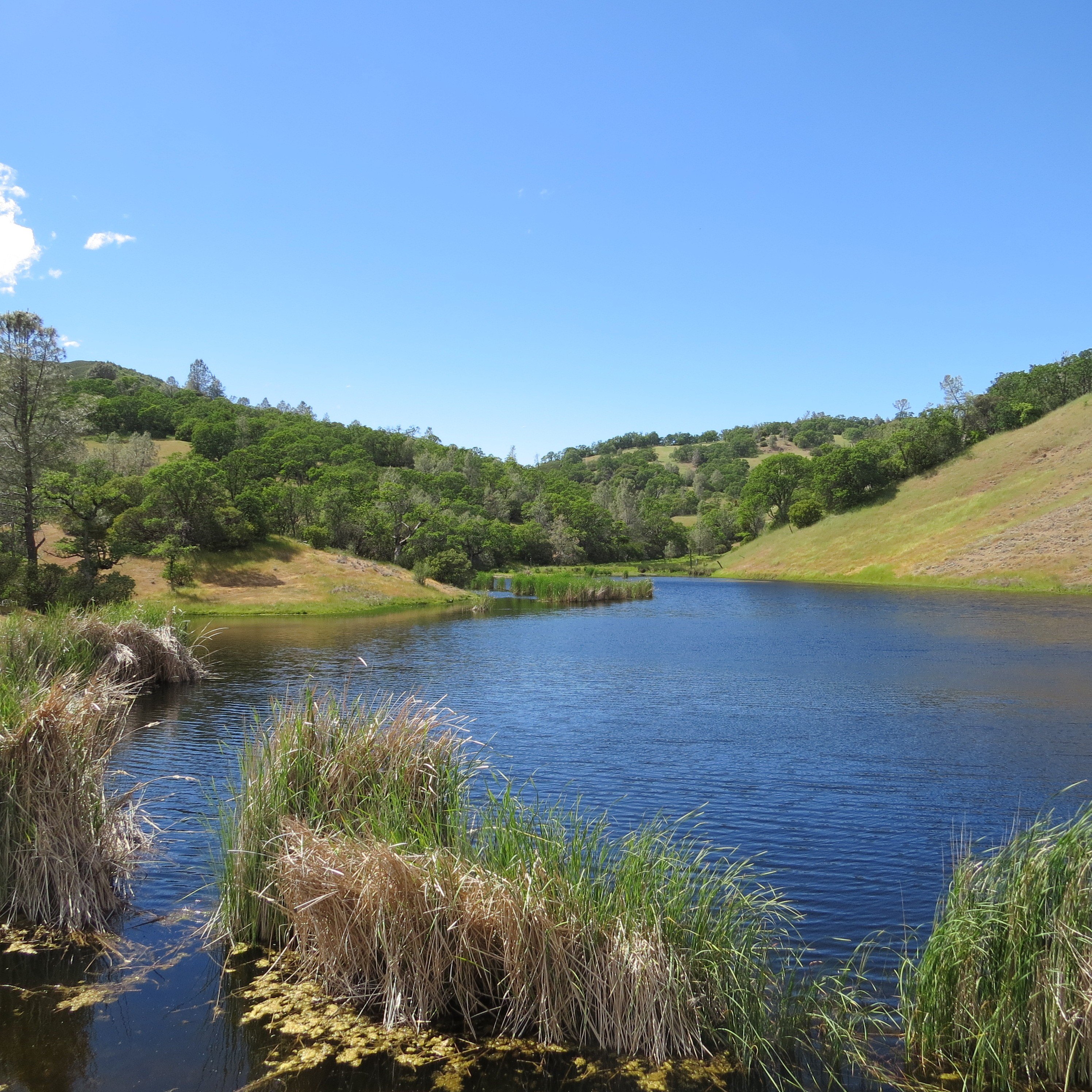Expansive Ranch Land Near San Jose
