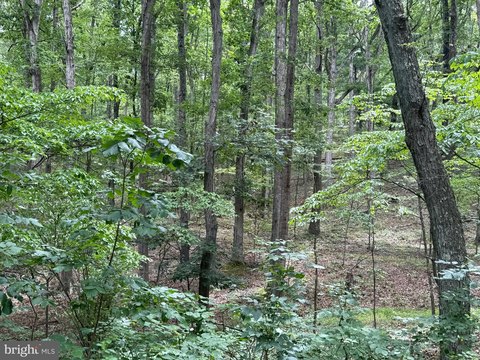 LAND - GREEN SPRING, WV