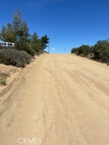 Picture 12