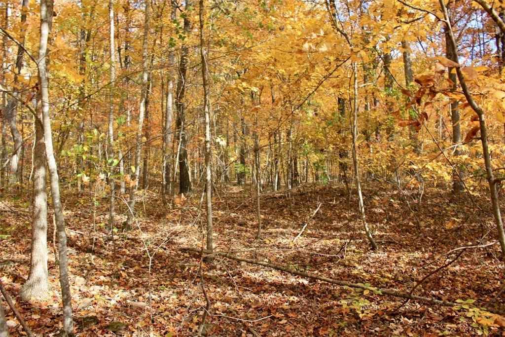 Picture 43