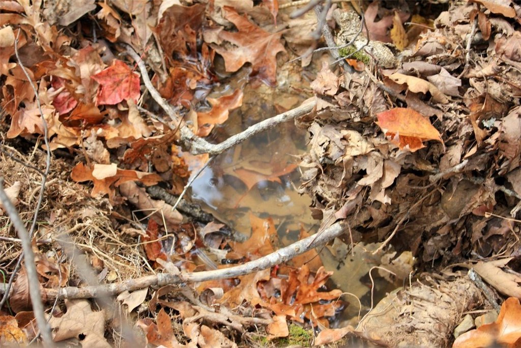 Picture 46