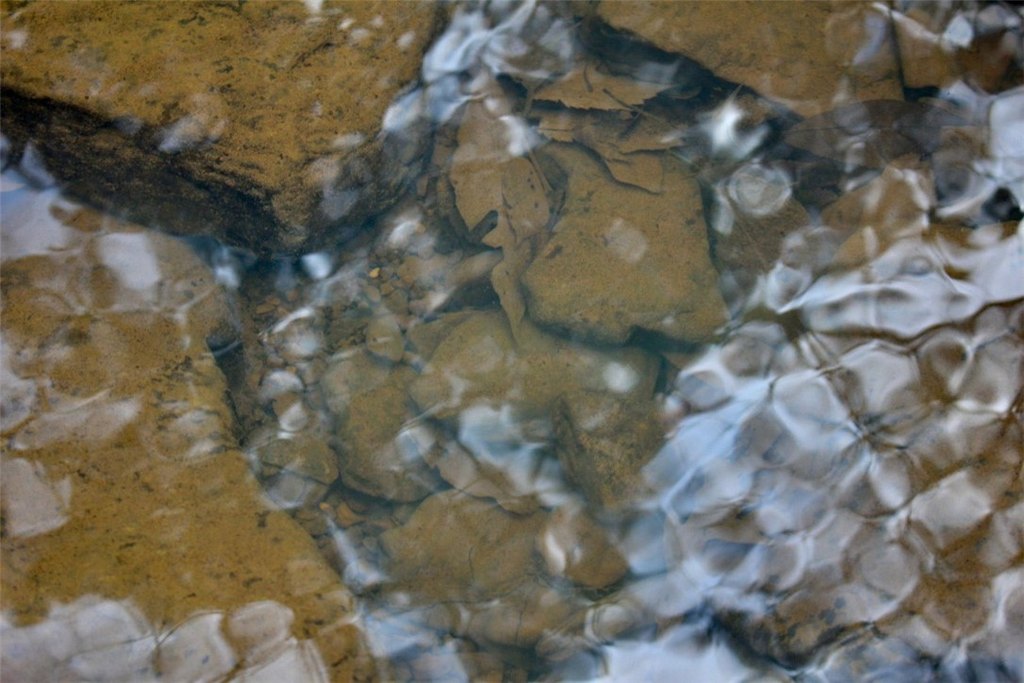 Picture 55