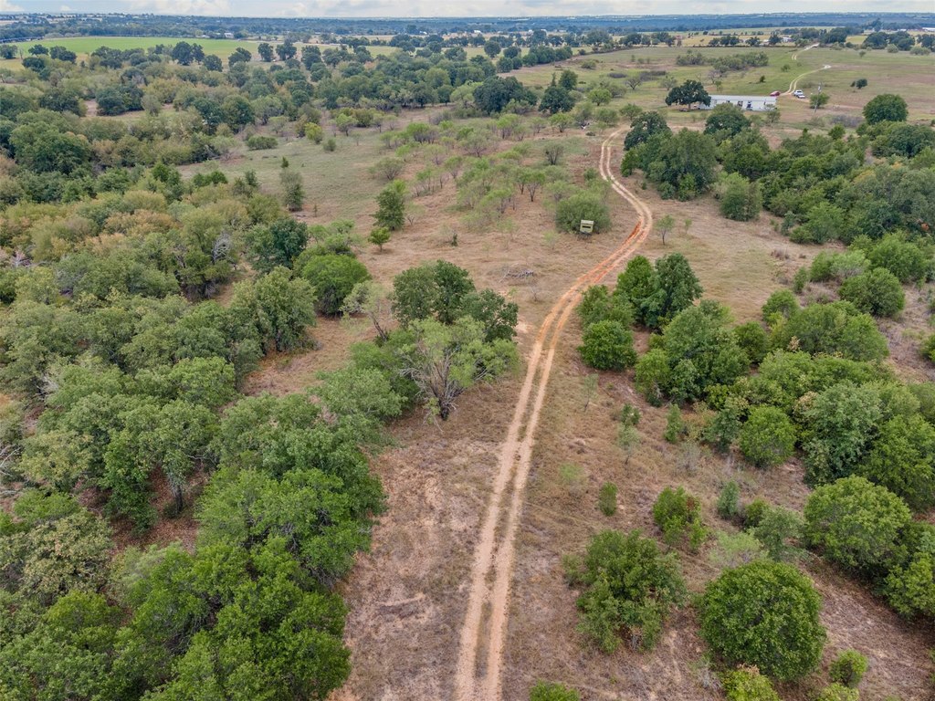 Picture 25