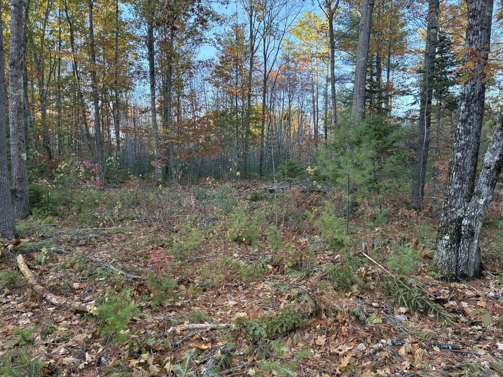 Farmington Land Close to Town