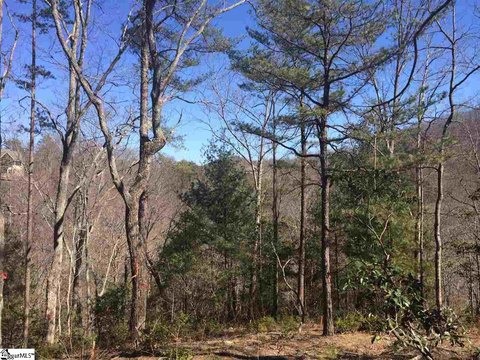 Mountain View Homesite in Gated Community