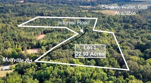 Unrestricted Land Near Millington Amenities