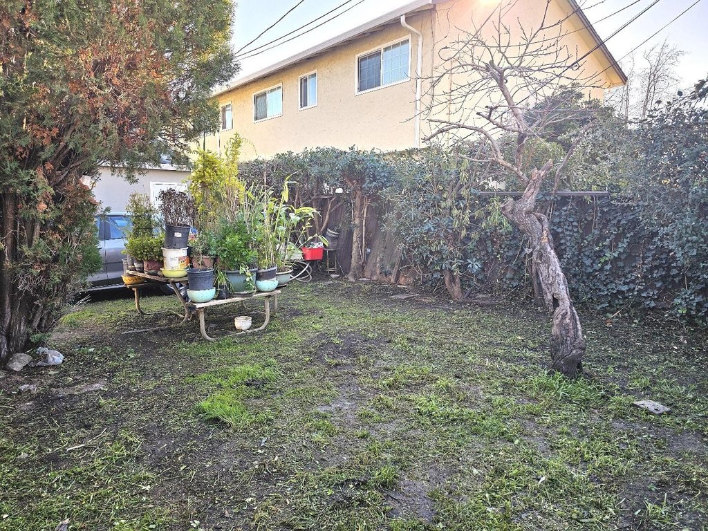 Picture 18